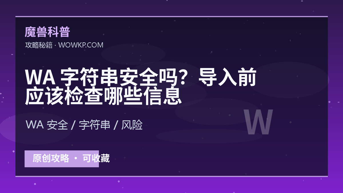 WA 字符串安全吗？导入前应该检查哪些信息