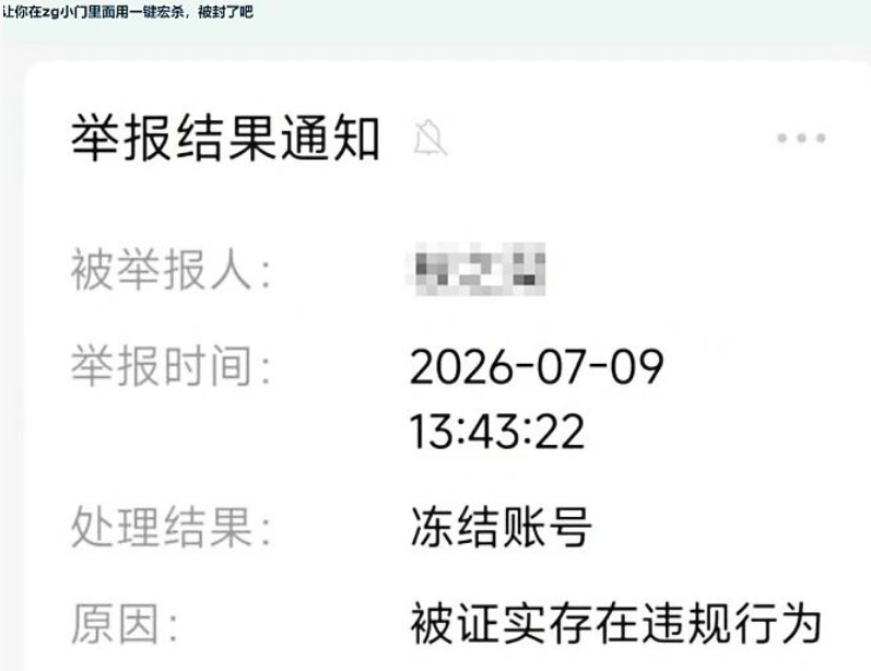 时光服插件“虚空之花”引爆争议:WCL高层下场,国服玩家何去何从?