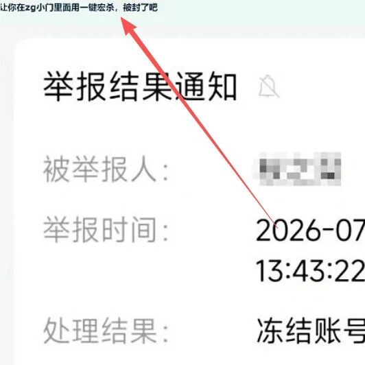 时光服大地震：一键宏封号潮与时光徽章崩盘